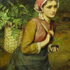 Image result for Menisorus pauciflorus