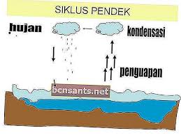 Kitar semula adalah penting bagi kita dan alam semula jadi. Kitaran Air Proses Huraian Dan Gambar Kitaran Hidrologi