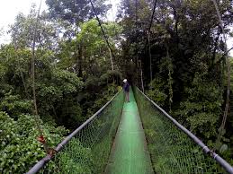 You know you're ready to create some amazing memories together but. Costa Rica S Tropical Rainforest Ecozones