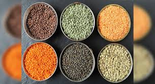 See these phrases in any combination of two languages in the phrase finder. Know What These Different Dals Are Called In English The Times Of India