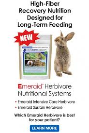 Basic Rabbit Care Handout And Infographic Lafebervet