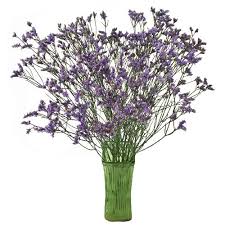 Yellow Limonium Flower Fiftyflowers Com Freesia Flowers Flowers Flowers Online