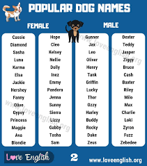 As you go through this list, you might want to make a top ten list yourself! Dog Names 120 Most Popular Male And Female Dog Names Love English