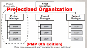Pmp What Is Projectized Organization And Its Benefits