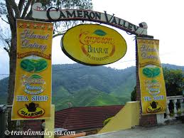 Maybe you would like to learn more about one of these? Cameron Valley Bharat Tea Plantation Attraction Places In Malaysia
