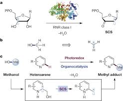 Image result for Alkylating Agent