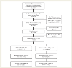 Flow Chart Of Patient Participation And Follow Up Pci