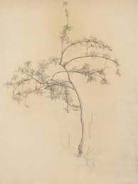 Samuel Isham • Buy exclusive fine art prints online