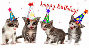 Happy Birthday Cat Gifs 40 Animated Greeting Cards Log in to save gifs you like, get a customized gif feed, or follow interesting gif creators. happy birthday cat gifs 40 animated