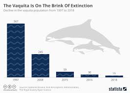 Chart The Vaquita Is On The Brink Of Extinction Statista