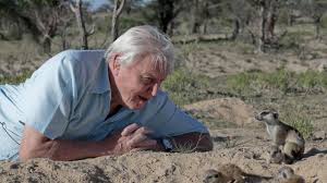 The dinosaur is the biggest animal ever it weighed 70 tonnes, as much as 15 african bull elephants. David Attenborough At 90 Nine Facts About The Broadcaster And Naturalist The Independent The Independent