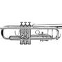 Brass instruments for sale from terrycartermusicstore.com