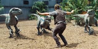 A new meme has popped up on the internet today in which farmers and/or zookeepers are doing their best raptor handling with animals that they take care. Jurassic World Chris Pratt Posts Kid Raptor Scene On Facebook Time