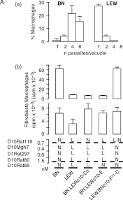 The one stop center handles financial aid, office of the registrar, and student accounts. Adaptive Immunity And Genetics Of The Host Immune Response Sciencedirect