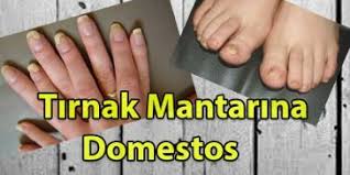 Tirnak Mantarina Domestos Mantar Tirnak Saglikli Yasam Tarzi