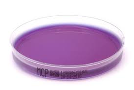 We did not find results for: Xebios Diagnostics Gmbh