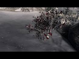 How To Free Thorald Gray-Mane In Skyrim