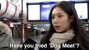What Koreans Think Of Eating Dog Meat Youtube