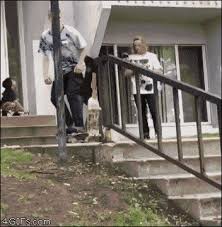 Image result for tbn:Z_XyLVGl0ZUU6M::www.palvoice.com/forums/imgcache08/1349.gif