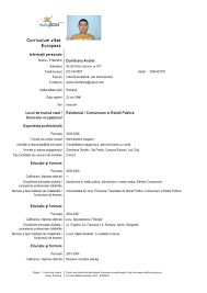 Cinci principii de bază pentru un cv bun: Model Cv Information Technology