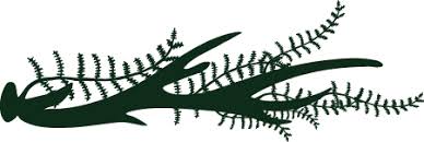 Gartenstadt Berlin Garten Parks Und Grune Events Faunundfarn De