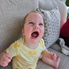 Happy ONE YEAR Birthday! Your 1st year has been full of learning, growing,  and being loved. See you soon! Love, Mimi and Papa B. 🥰❤️🎉 @brookedenia25  #lillybean #littlelilly #oneyearold #granddaughter