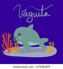 We did not find results for: Hand Drawn Cartoon Vaquita Marina Whale Stock Vector Royalty Free 1170481879
