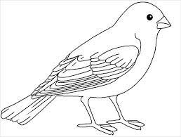 Cute free birds coloring page to download. Free 20 Bird Coloring Pages In Ai