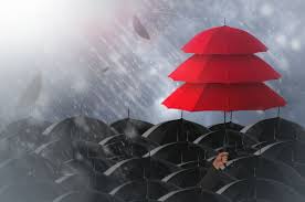 Contact us at apex insurance is simple via our easy to use website. Apex Insurance Reinsurance Brokerage And Consultancy Services