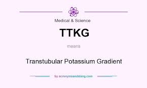 Image result for Transtubular Potassium Gradient