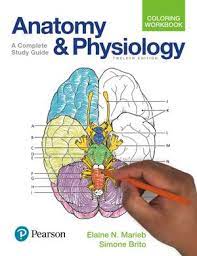 Compact bone is part of a bone made of densely packed tissue. Calameo Anatomy And Physiology Coloring Workbook A Complete Study Guide 12th Edition 2017