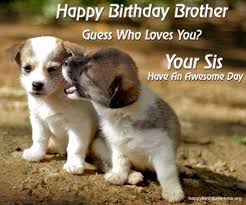 Funny brother birthday meme is a unique and funny way to wish your brother happy birthday. 50 Funniest Happy Birthday Brother Meme Birthday Meme