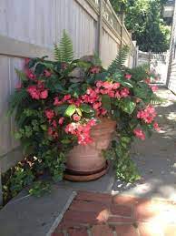 Awesome Container Garden Flowers Ideas For Beginner 16 Container Gardening Flowers Garden Containers Container Gardening