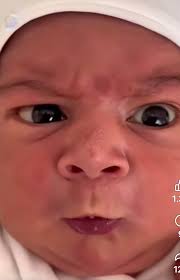 Cynthia Winton-Henry