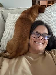 Peek A Boo. I am a Cockapoo.