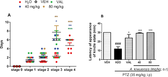 Image result for Alchemilla kiwuensis