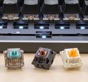The 7 Best Tactile Mechanical Switches of 2025 - RTINGS.com