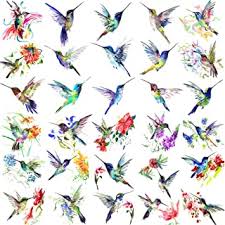 The symbolism of hummingbird tattoos. Amazon Com Hummingbird Tattoo