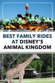 Our Family S Top 5 Disney S Animal Kingdom Rides And Attractions In 2020 Animal Kingdom Disney Animal Kingdom Rides Disney World Rides