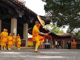 With filip menzel, jakub stepán, vít olmer, marie málková. Southern Shaolin S Kung Fu Monks Battle For Attention Cgtn