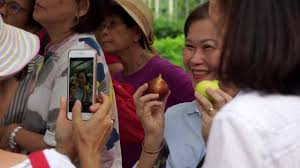 April 2021 our data for each country are based on all entries from all cities in that country. Fig Malaysia Home Facebook