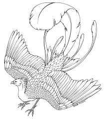 4 buckbeak drawing cartoon for free download on ayoqq org. Coloring Pages Of Harry Potter Animals