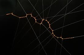 Bildergebnis für Marcela Armas