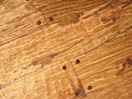 Wood Floors Hand Scraped Wood In High End Homes Handscraped Wood Flooring Wood Floors