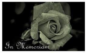 Send beautiful & affordable funeral flowers uk wide by highly rated and popular online florist, serenataflowers.com. Cheap Funeral Sprays And Sheaves London Flower Delivery