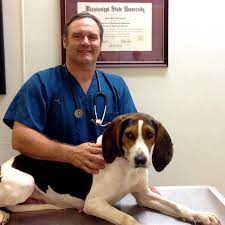 Maybe you would like to learn more about one of these? Pet Wellness Center 516 S Gloster St Tupelo Ms 38801 Yp Com