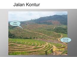Pembuatan Teras Kontur Dan Pemancangan Titik Tanam Ppt Download