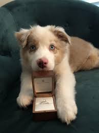 Wish Me Luck Reddit Cute Animal Photos Cute Baby Animals Cute Animals