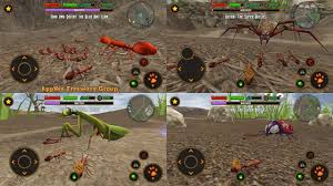 Type the code to opened up window (enter code here!) and click green redeem button. V2 0 Fire Ant Simulator Build Your Own Ant Colony Being A Fire Ant Appnee Freeware Group