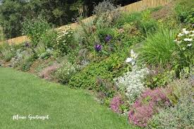 Blutenpracht Im Hang In 2020 Bienenfreundliche Pflanzen Pflanzen Bepflanzung